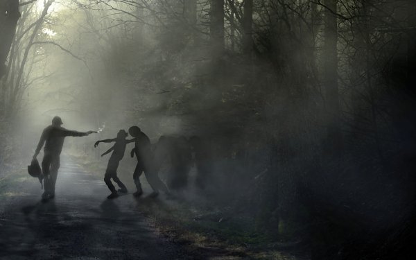 Подсолнух PVZ гуль