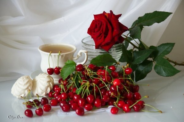 Стикеры с добрым утром и розы