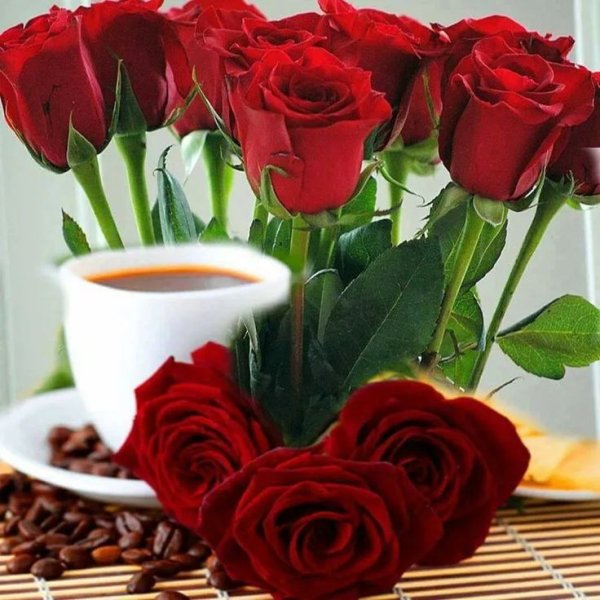 Утренняя роза