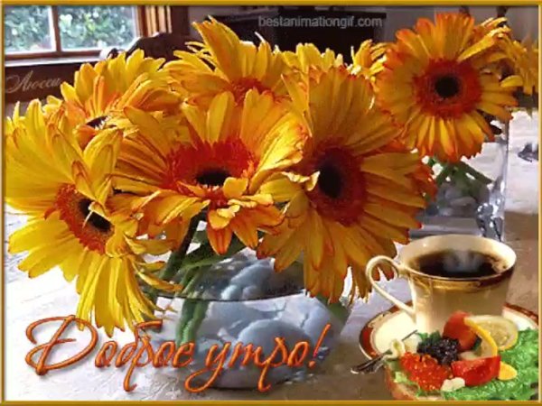 Открытки доброе утро с маками