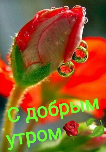 Открытки доброе утро