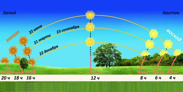 Солнце над горизонтом