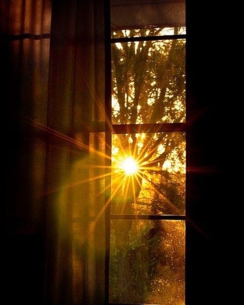 Рассвет в окне
