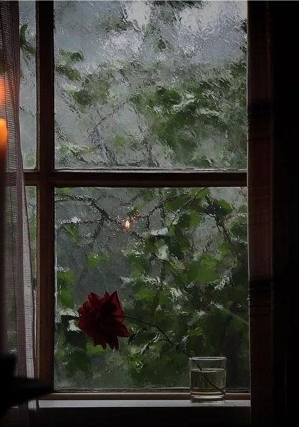 Вечернее окно