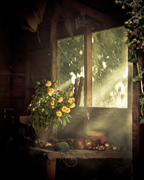 Лампа в окне