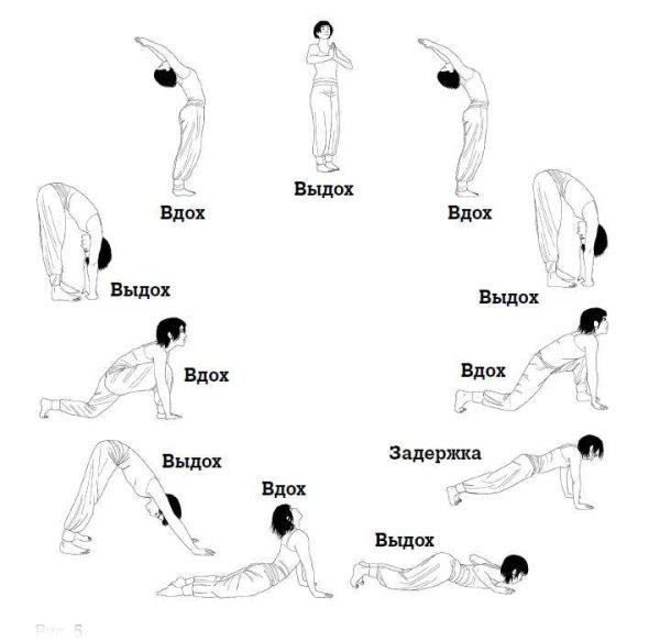Комплекс Сурья Намаскар Приветствие солнцу