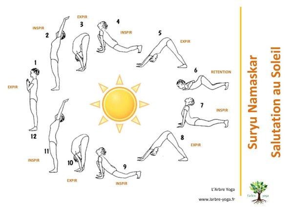 Комплекс асан Сурья Намаскар
