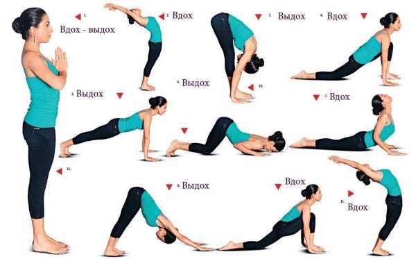 Аштанга йога Сурья Намаскар