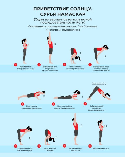 Сурья Намаскар Шивананда йога