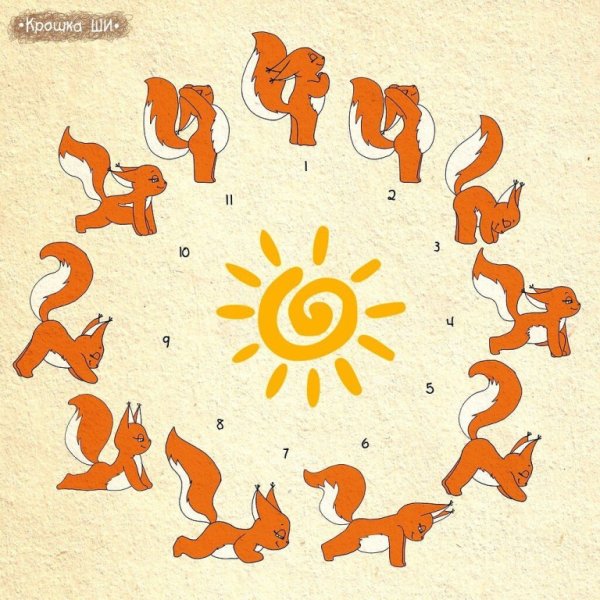 Сурья Намаскар Шивананда