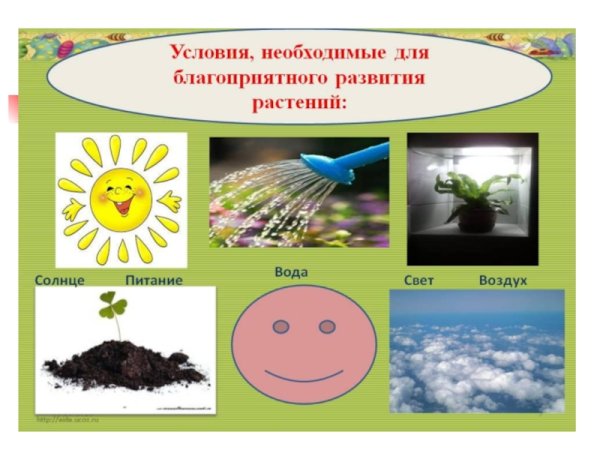 Тема урока солнце