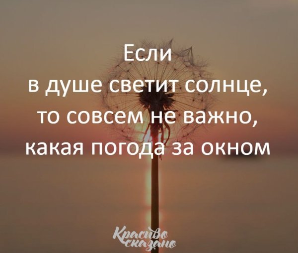 Солнышко в душе высказывания