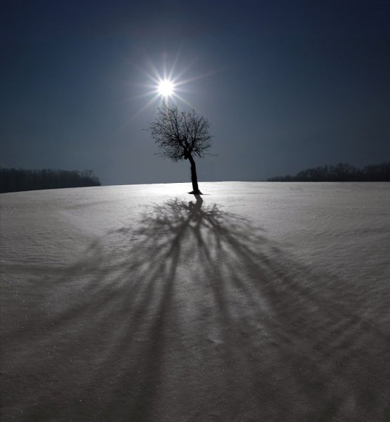 Холодная солнце