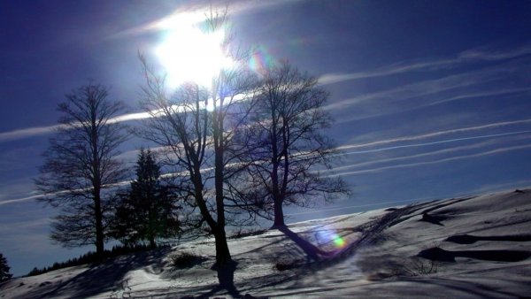 Ледяное солнце