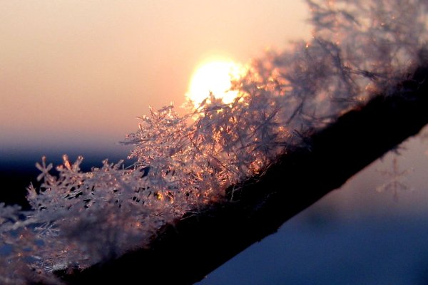 Мыльные пузыри на солнце