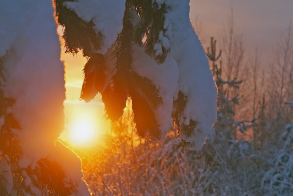 Снежная равнина