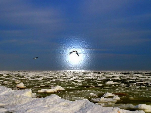 Снег и солнце