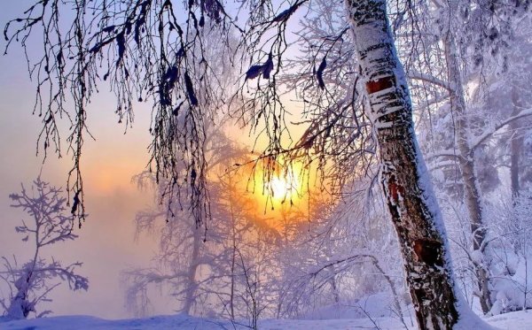 Поздняя осень солнце