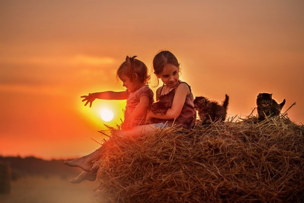 Счастье в деревне