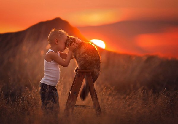 Душевные картинки