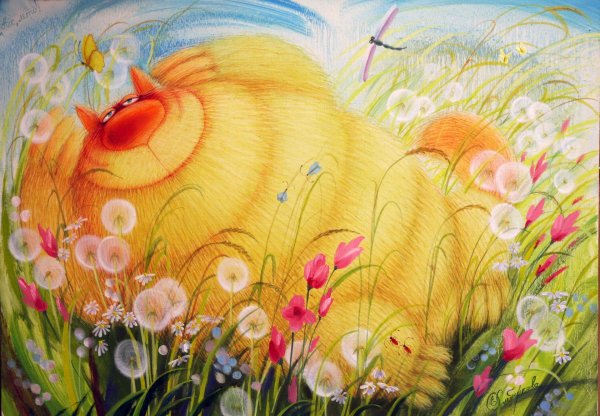 Солнце хорошее настроение
