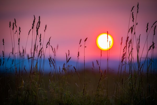 Солнце вечером