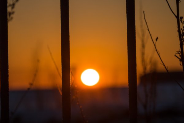 Рассвет лучи солнца