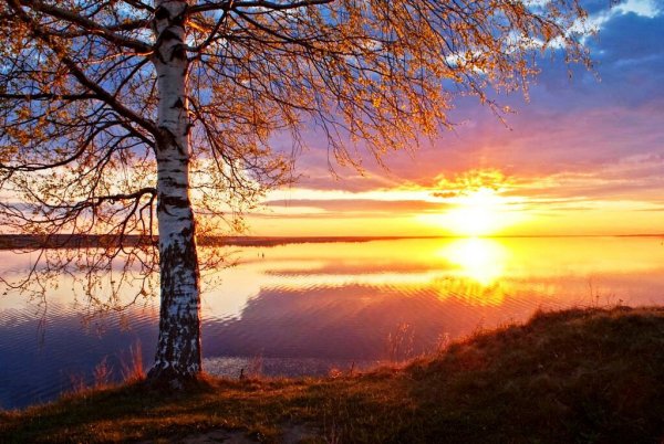 Пейзаж с заходящим солнцем