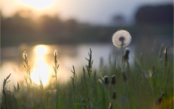 Рассвет души