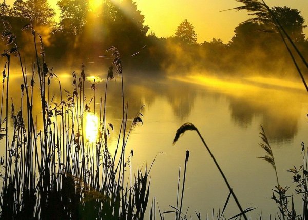 Дождь на рассвете