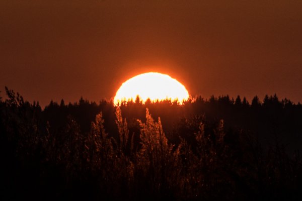 Крик солнца