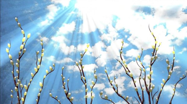 Весна Верба