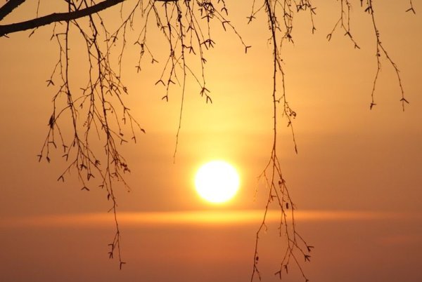 Весна солнце река