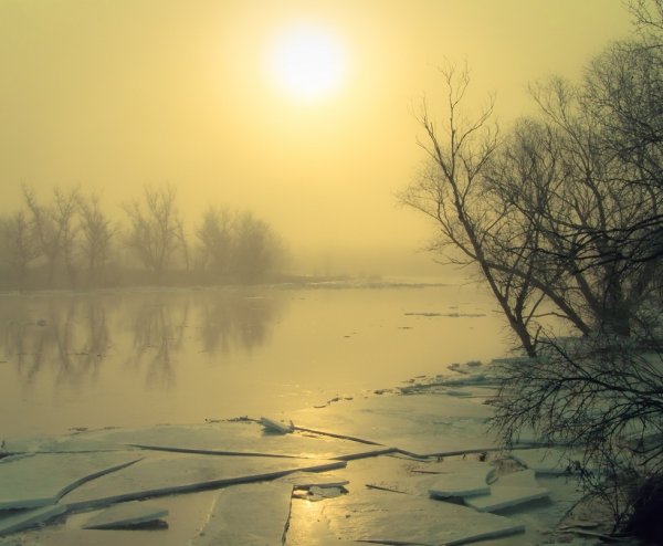 Солнечного апрельского утра