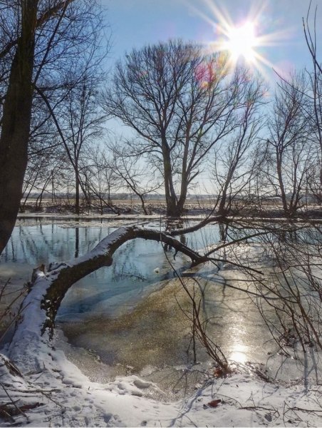 Апрельский Солнечный рассвет