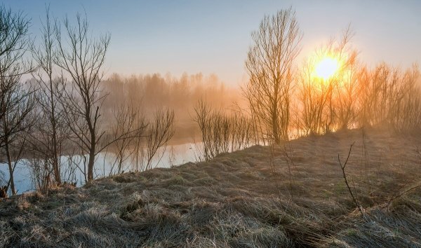 Весеннее утро