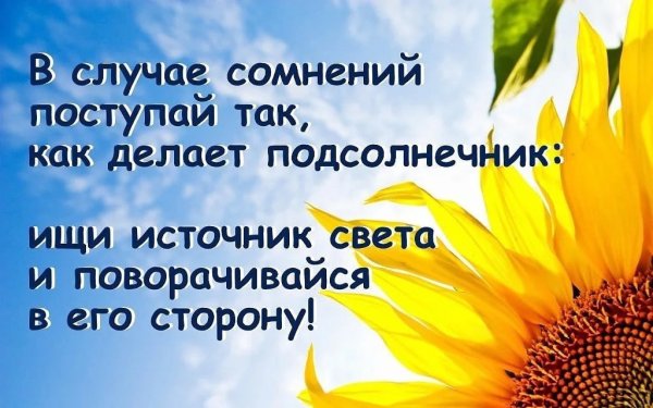 Высказывания про Солнечный свет