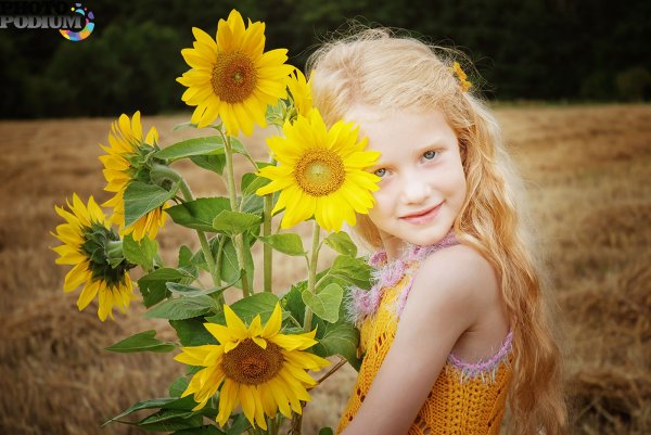 Подсолнухи и солнце