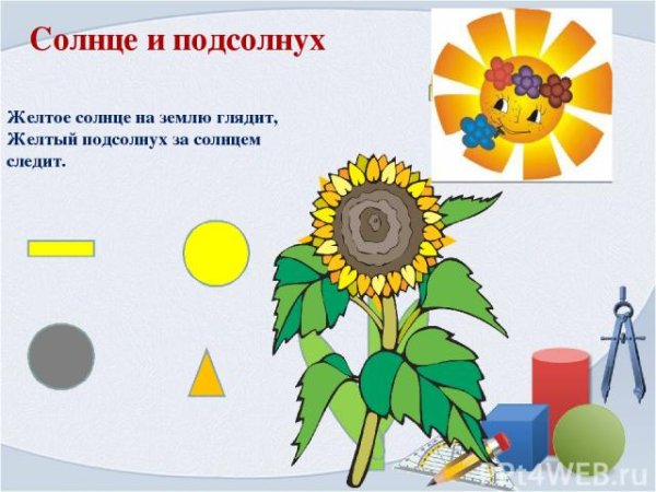 Леви с подсолнухами