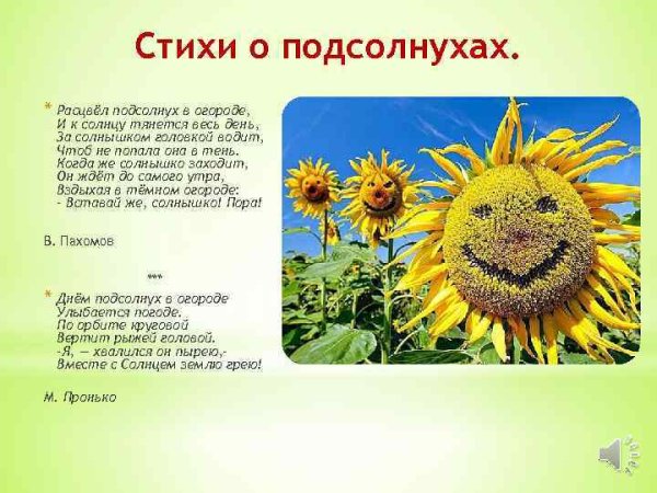 Подсолнух надпись