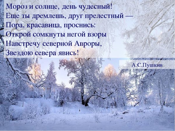 Стихотворение Пушкина зимнее утро