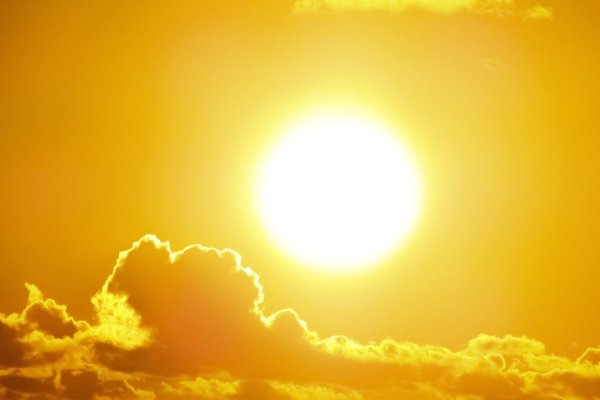 Желтое солнце