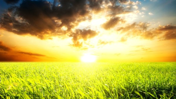 Яркий свет солнца