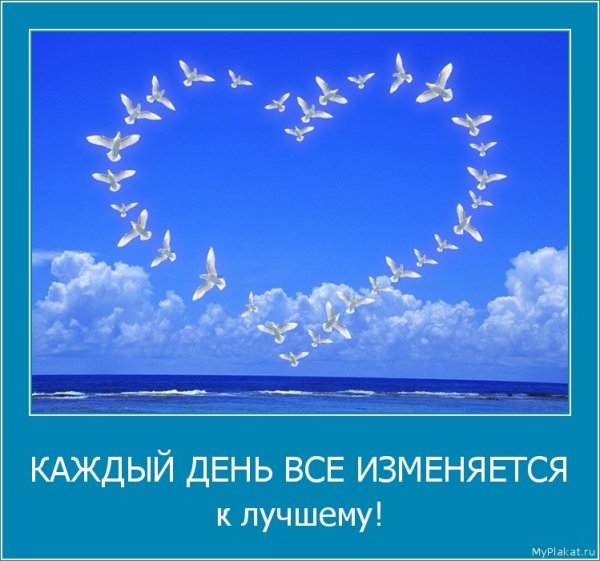 Ромашки в солнечных лучах