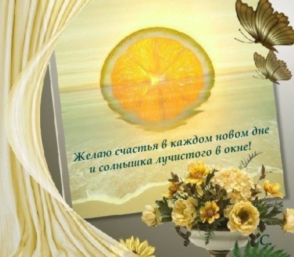 Солнышко светит