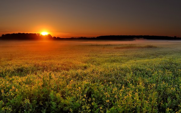 Природа рассвет