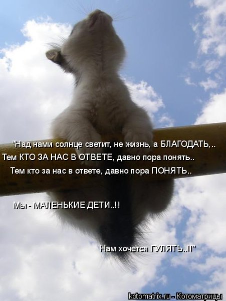 Тем кто за нас в ответе давно пора понять