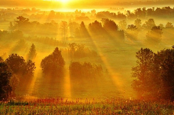 Августовское солнце