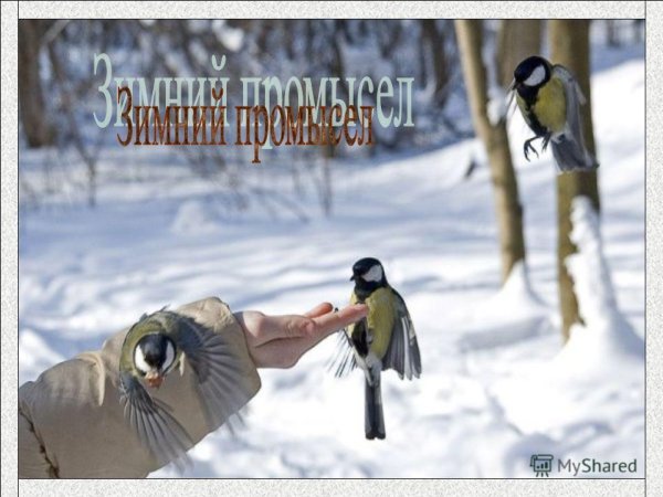 Мороз и солнце день чудесный доброе утро