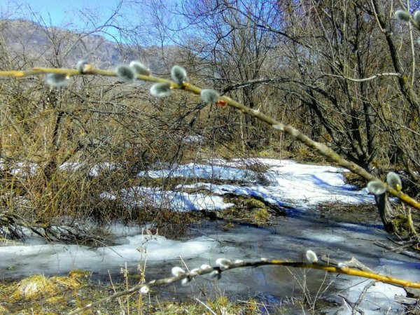 Весна в Удмуртии